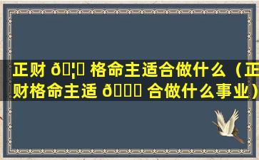 正财 🦊 格命主适合做什么（正财格命主适 🍁 合做什么事业）